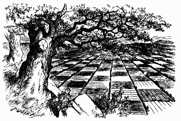 Иллюстрация к книге — Сквозь зеркало и что там увидела Алиса, или Алиса в Зазеркалье [bdtofb2im_14.png]