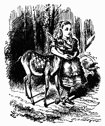 Иллюстрация к книге — Сквозь зеркало и что там увидела Алиса, или Алиса в Зазеркалье [bdtofb2im_18.png]