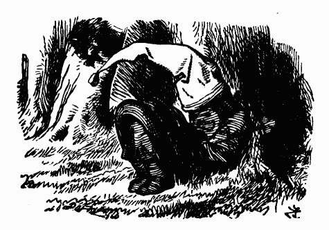 Иллюстрация к книге — Сквозь зеркало и что там увидела Алиса, или Алиса в Зазеркалье [bdtofb2im_25.png]