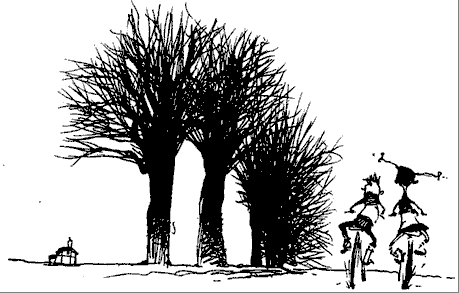 Иллюстрация к книге — Зуб Уилкинса [_6.png]