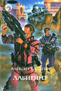 Книга Лабиринт