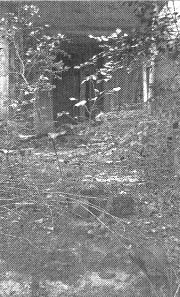 Иллюстрация к книге — Чернобыль, Припять, далее Нигде… [i_059.jpg]