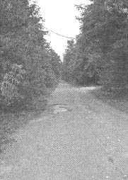 Иллюстрация к книге — Чернобыль, Припять, далее Нигде… [i_066.jpg]