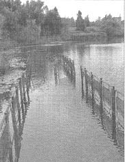 Иллюстрация к книге — Чернобыль, Припять, далее Нигде… [i_085.jpg]