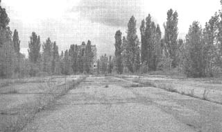 Иллюстрация к книге — Чернобыль, Припять, далее Нигде… [i_091.jpg]