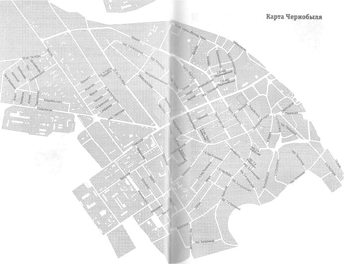 Иллюстрация к книге — Чернобыль, Припять, далее Нигде… [i_108.jpg]