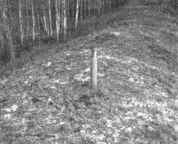 Иллюстрация к книге — Чернобыль, Припять, далее Нигде… [i_128.jpg]