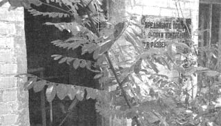 Иллюстрация к книге — Чернобыль, Припять, далее Нигде… [i_131.jpg]