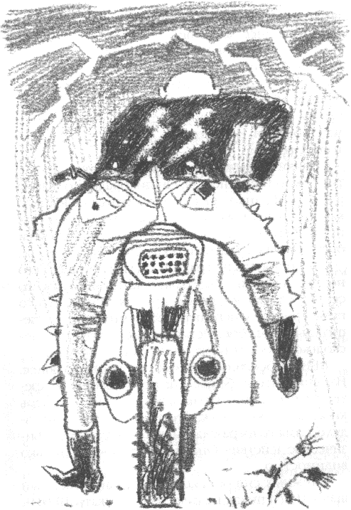 Иллюстрация к книге — Четыре желания [_0303_pg_0153.png]