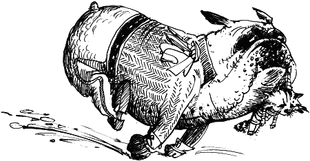 Иллюстрация к книге — Рыжий и Полосатый [i_008.png]