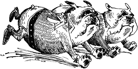 Иллюстрация к книге — Рыжий и Полосатый [i_009.png]