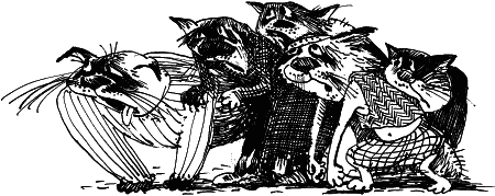 Иллюстрация к книге — Рыжий и Полосатый [i_014.png]