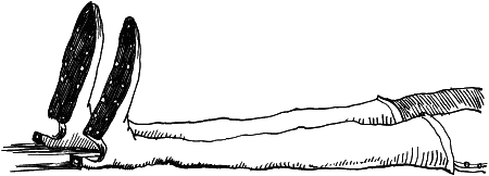 Иллюстрация к книге — Возвращение Рыжего и Полосатого [i_019.png]