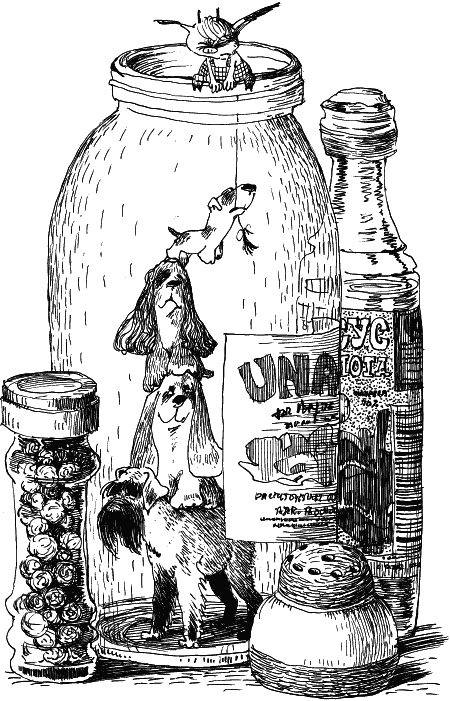 Иллюстрация к книге — Орден фарфоровых рыцарей [i_008.png]