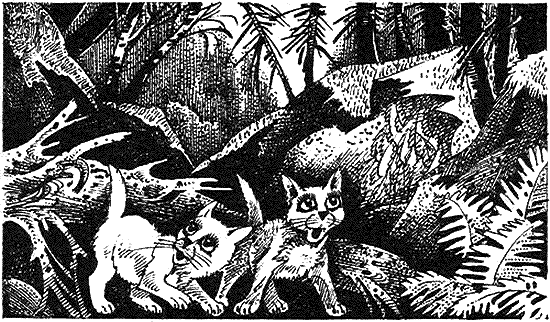 Иллюстрация к книге — Пророчество Синей Звезды. Начало [i_002.png]