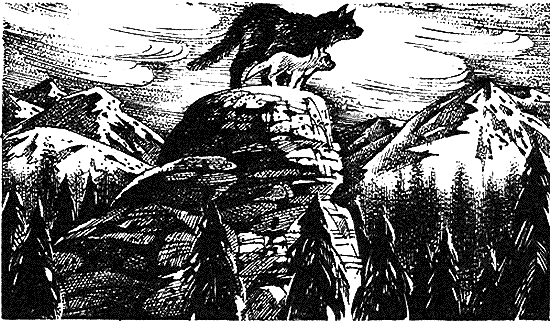 Иллюстрация к книге — Пророчество Синей Звезды. Начало [i_004.png]