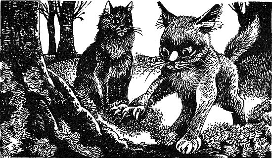 Иллюстрация к книге — Пророчество Синей Звезды. Начало [i_005.png]