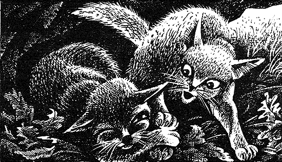 Иллюстрация к книге — Пророчество Синей Звезды. Начало [i_007.png]