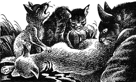 Иллюстрация к книге — Пророчество Синей Звезды. Начало [i_010.png]