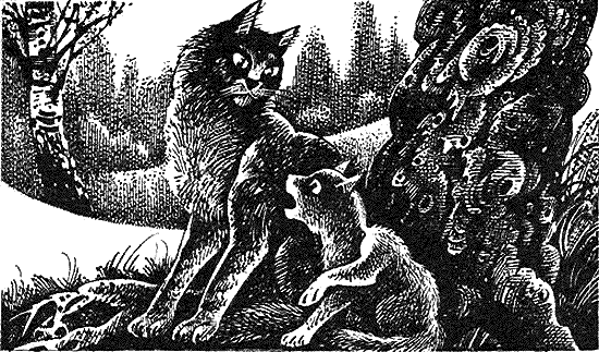 Иллюстрация к книге — Пророчество Синей Звезды. Начало [i_011.png]