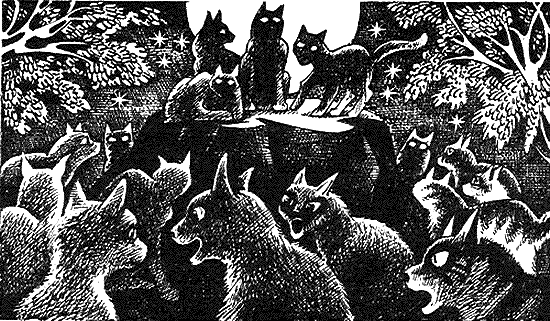 Иллюстрация к книге — Пророчество Синей Звезды. Начало [i_012.png]