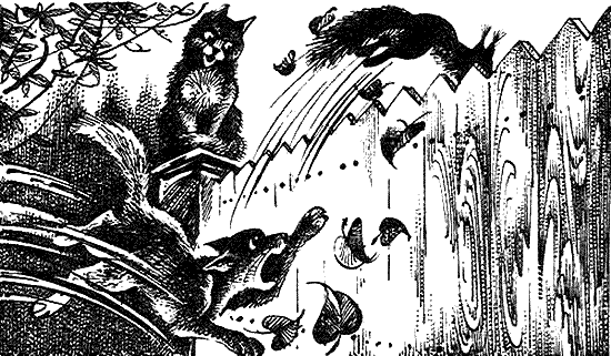 Иллюстрация к книге — Пророчество Синей Звезды. Начало [i_015.png]