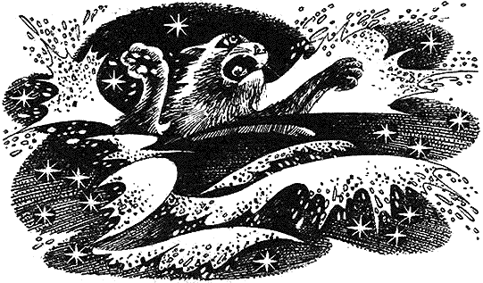 Иллюстрация к книге — Пророчество Синей Звезды. Начало [i_019.png]