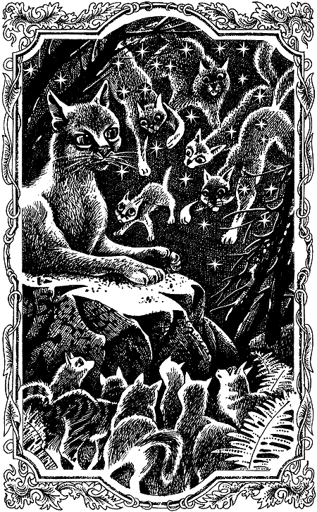 Иллюстрация к книге — Пророчество Синей Звезды. Выбор [i_001.png]