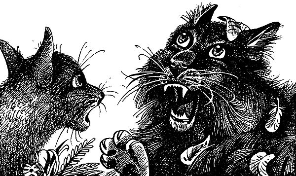 Иллюстрация к книге — Пророчество Синей Звезды. Выбор [i_004.png]