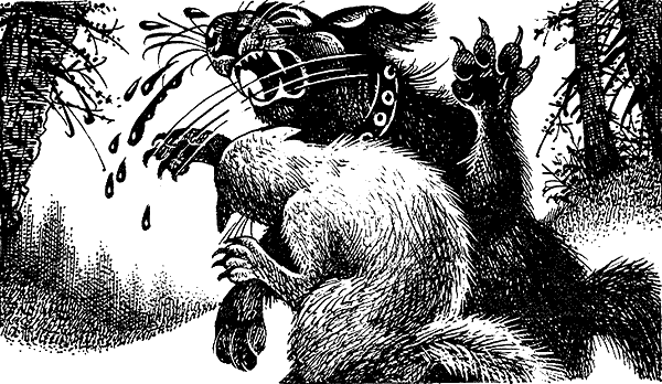 Иллюстрация к книге — Пророчество Синей Звезды. Выбор [i_005.png]