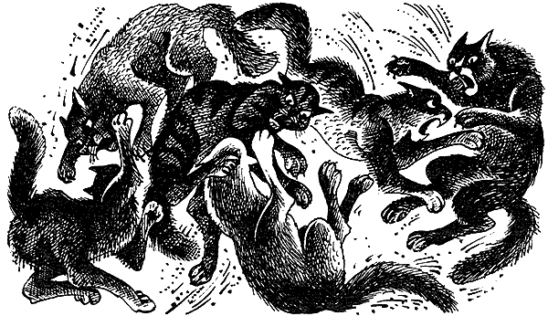 Иллюстрация к книге — Пророчество Синей Звезды. Выбор [i_006.png]