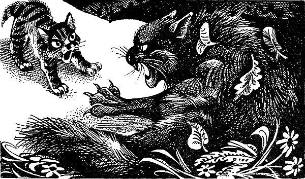 Иллюстрация к книге — Пророчество Синей Звезды. Выбор [i_009.png]