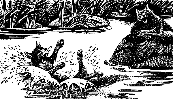 Иллюстрация к книге — Пророчество Синей Звезды. Выбор [i_010.png]