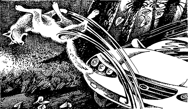 Иллюстрация к книге — Пророчество Синей Звезды. Выбор [i_011.png]