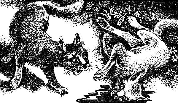 Иллюстрация к книге — Пророчество Синей Звезды. Выбор [i_012.png]