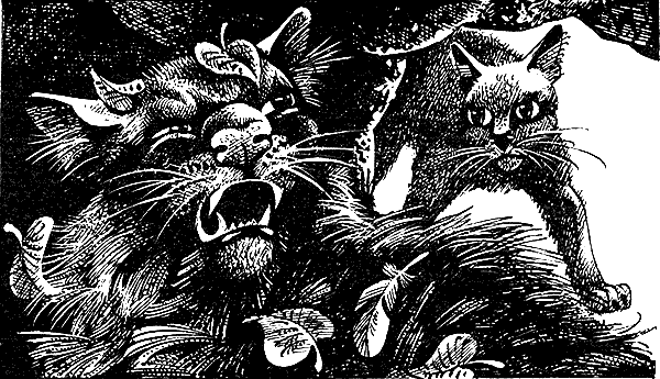 Иллюстрация к книге — Пророчество Синей Звезды. Выбор [i_015.png]