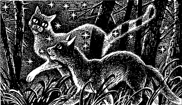 Иллюстрация к книге — Пророчество Синей Звезды. Выбор [i_019.png]