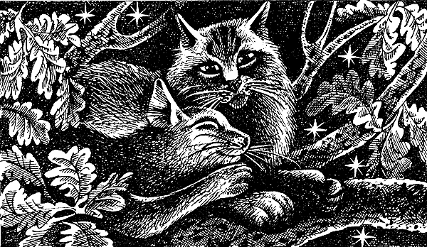 Иллюстрация к книге — Пророчество Синей Звезды. Выбор [i_020.png]