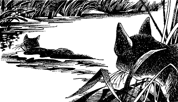 Иллюстрация к книге — Пророчество Синей Звезды. Выбор [i_021.png]