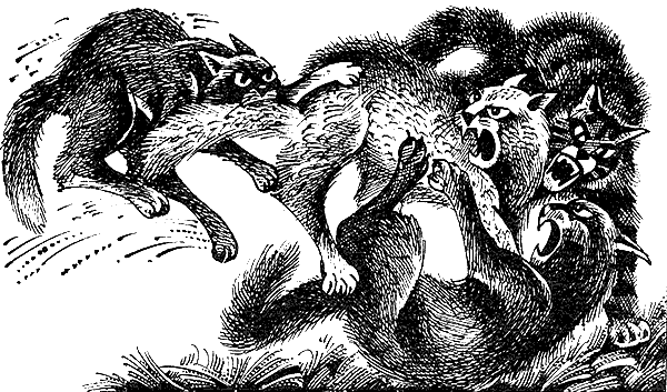 Иллюстрация к книге — Пророчество Синей Звезды. Выбор [i_023.png]