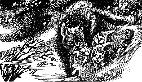 Иллюстрация к книге — Пророчество Синей Звезды. Выбор [i_025.png]