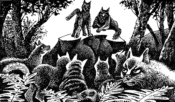 Иллюстрация к книге — Пророчество Синей Звезды. Выбор [i_026.png]