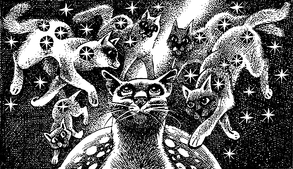 Иллюстрация к книге — Пророчество Синей Звезды. Выбор [i_027.png]