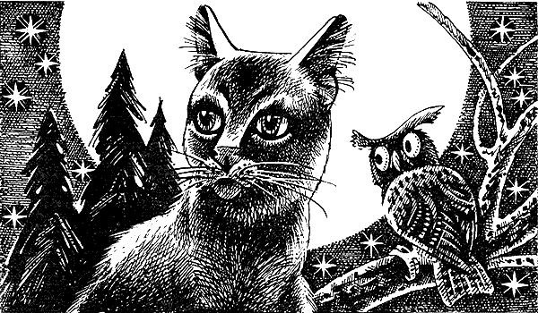 Иллюстрация к книге — Пророчество Синей Звезды. Выбор [i_028.png]