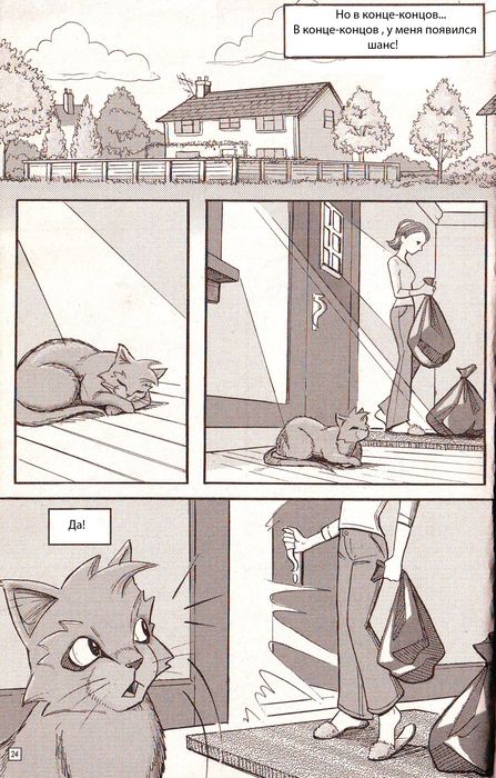 Иллюстрация к книге — Манга «Потеряный воин» [18.jpg]