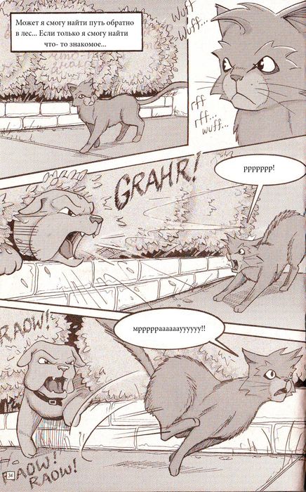 Иллюстрация к книге — Манга «Потеряный воин» [28.jpg]