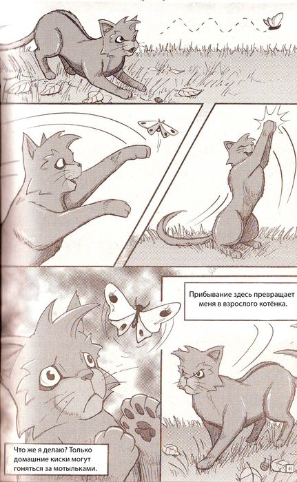 Иллюстрация к книге — Манга «Потеряный воин» [35.jpg]