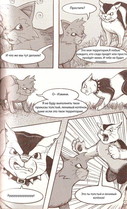 Иллюстрация к книге — Манга «Потеряный воин» [39.jpg]