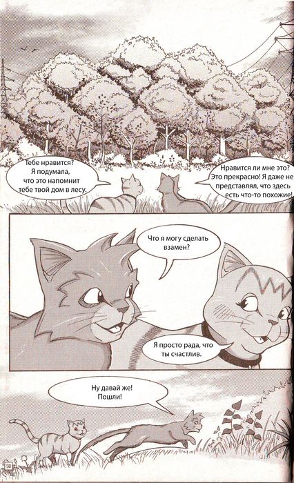 Иллюстрация к книге — Манга «Потеряный воин» [52.jpg]