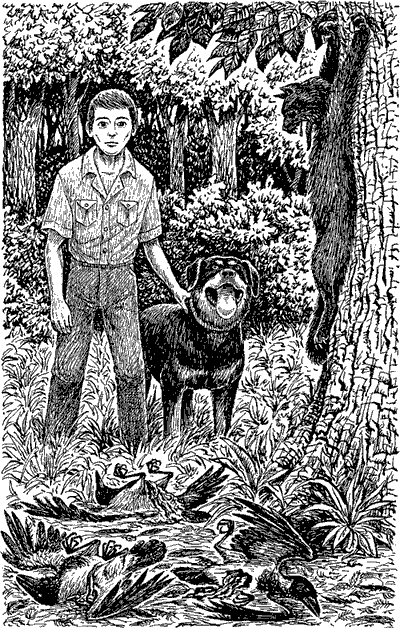 Иллюстрация к книге — Чудовище с улицы Розы [ris1.png]